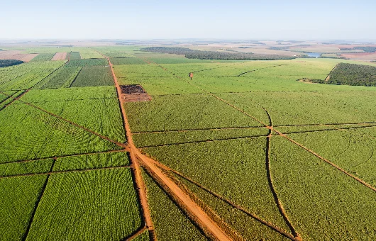 Compromissos com sustentabilidade