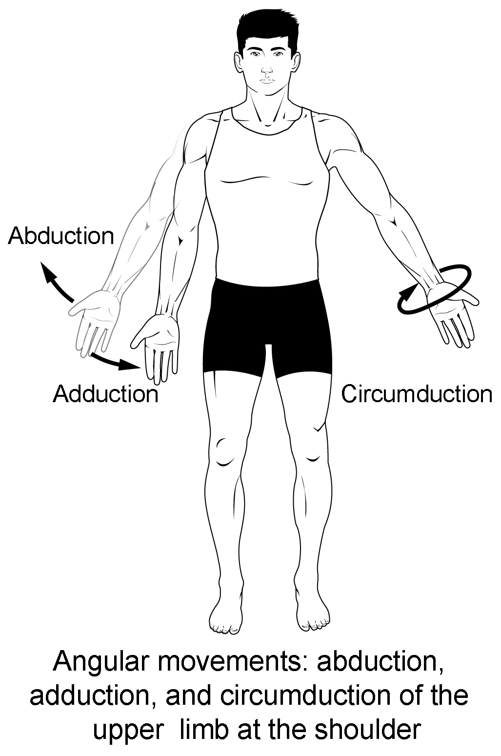 This multi-part image shows different types of movements that are possible by different joints in the body.