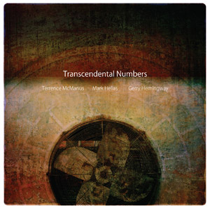 Transcendental Numbers by Terrence McManus