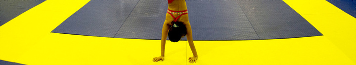 Pw ginastica banner