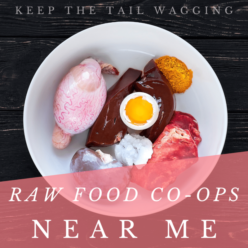 Raw feeding is supposed to be cheaper than feeding processed foods, but this isn't the case for  everyone.

I was about to switch back to kibble when someone introduced me to raw food  co-ops.  I now order food in bulk at wholesale prices, making it possible for me to feed four big dogs a raw food diet within my budget.

If you're looking for a raw food co-op, this is a complete list for pet parents.