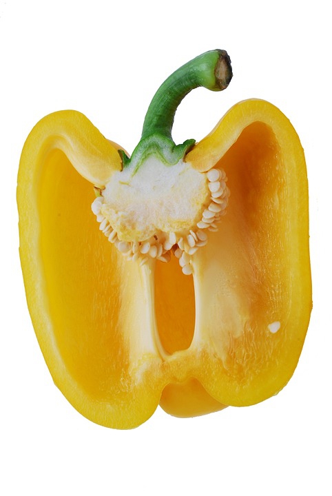 Capsicum annuum