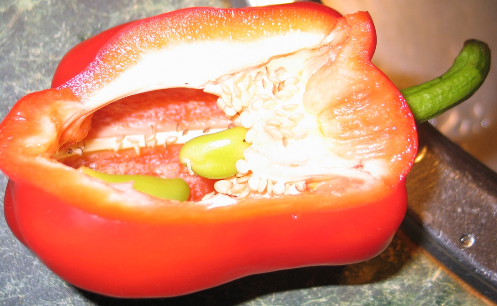 Capsicum chinense