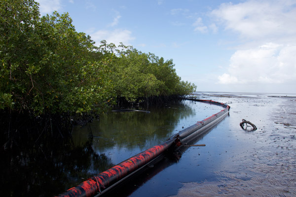 Clean up attempts in the mangroves. Photo by: Marc de Verteuil.