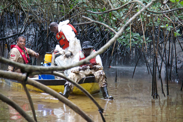 Clean up crew in the Gulf of Paria. Photo by: Marc de Verteuil.