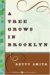 A Tree Grows in Brooklyn  by Betty Smith