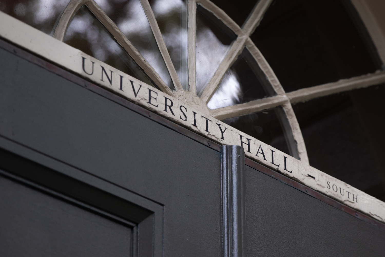 Harvard's Faculty of Arts and Sciences will stop requiring a diversity, inclusion, and belonging statement in faculty hiring processes.