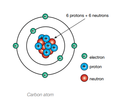 Deforestation and Carbon: General Overview - Blogs - Decarbonize ...