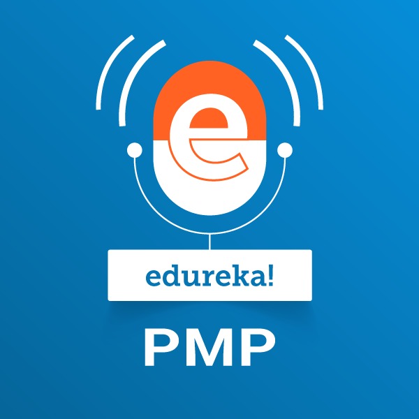 PMP: Project Management Professional:edureka!