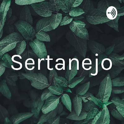 Sertanejo Universitário