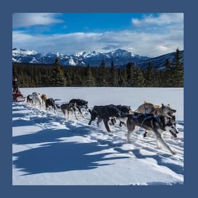 “Take the Dog Sled” de Alexina Louie, um musical Iditarod para cantores guturais e conjunto Inuit