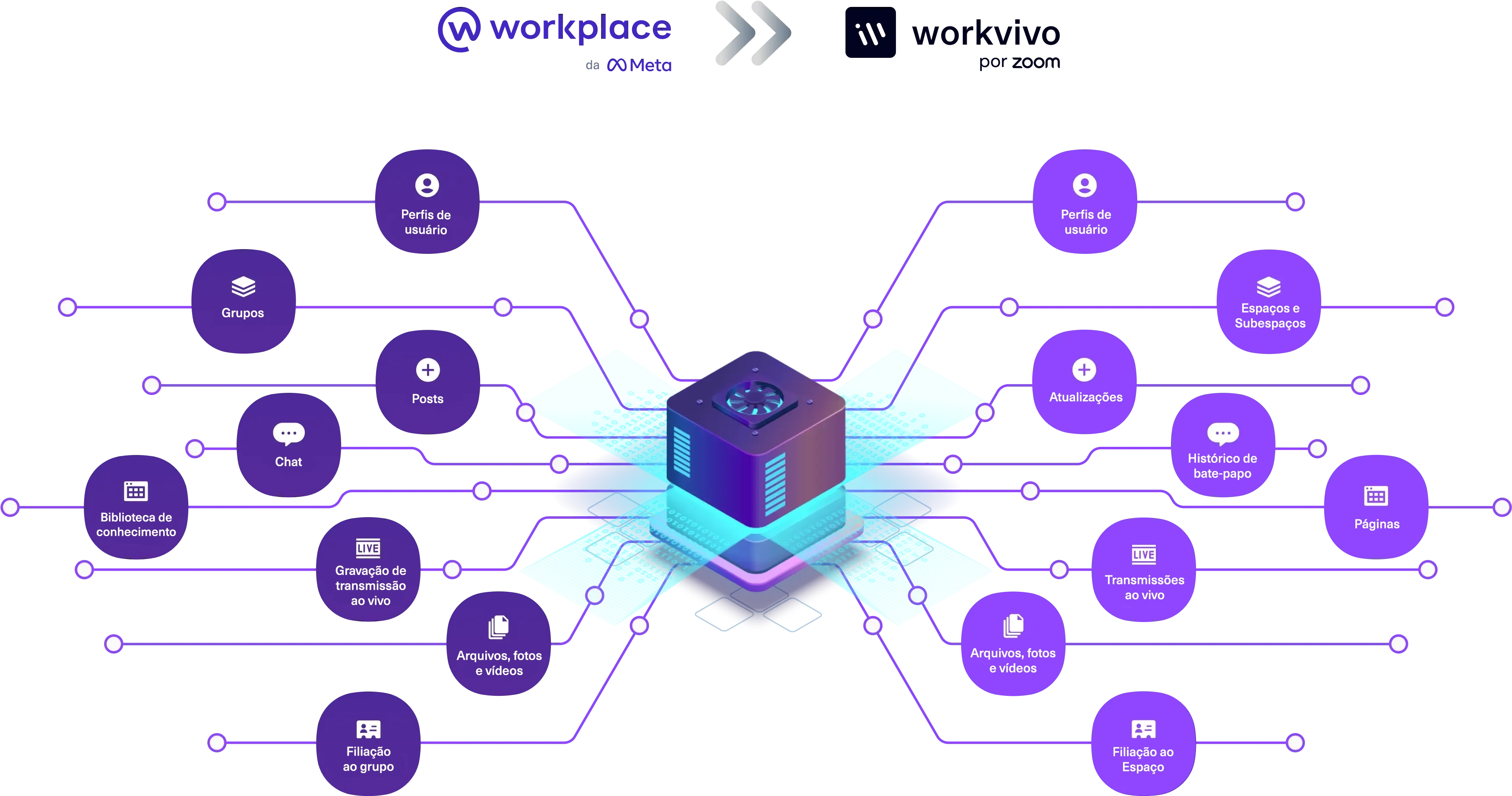 migration_infographic_v4.webp