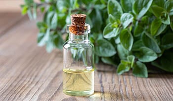 Boost Overall Health With Oregano Oil 