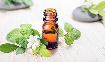 Peppermint Oil - For Gut Health