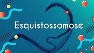 Título "Esquistossomose" escrito sobre fundo degradê em azul com representações de organismos da classe dos platelmintos.