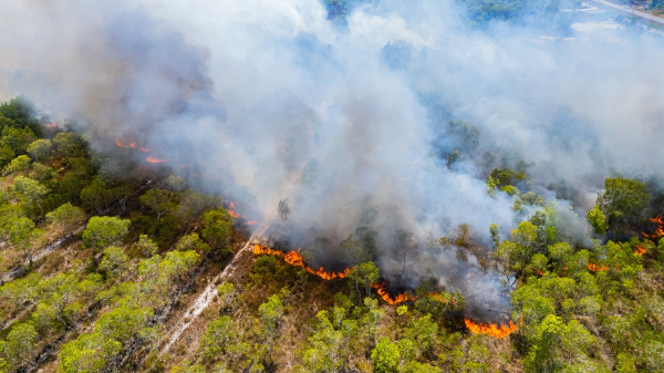 Queimada em uma floresta, uma alusão aos efeitos da fumaça no organismo.