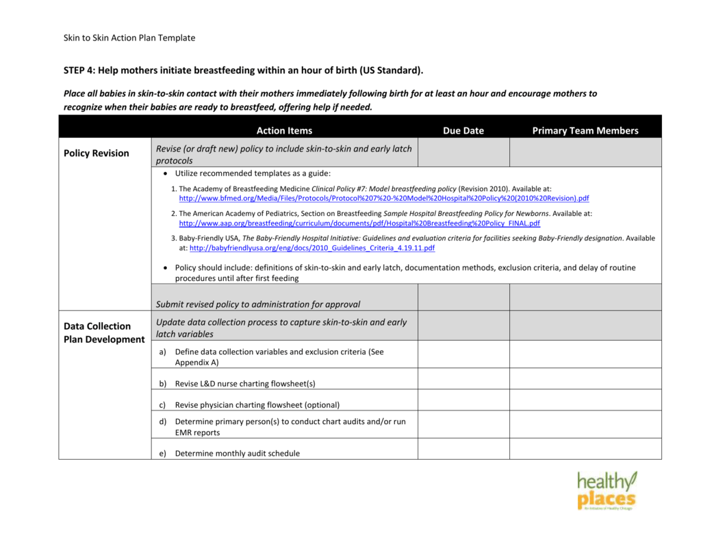 Action Plan Chart Template