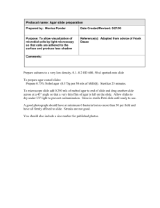 Agar slide preparation