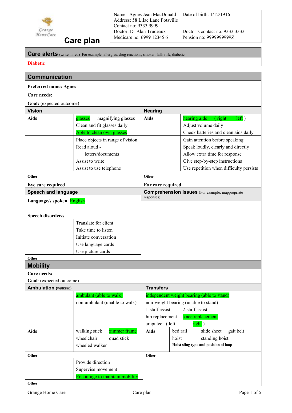 Printable Care Plan Template