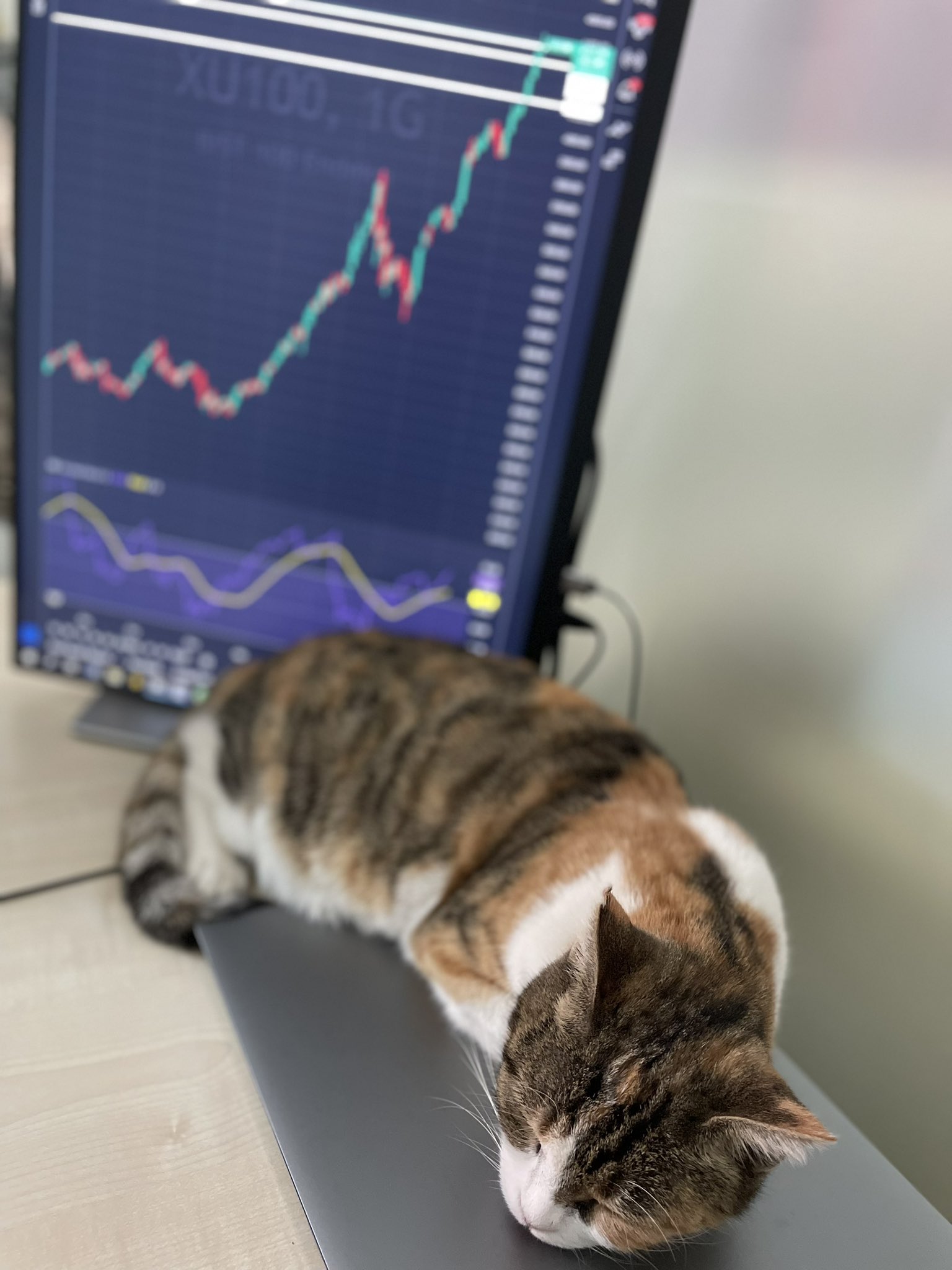 TradingView Chart bei Instagram @Ceyhun Özgür GÖNÜL