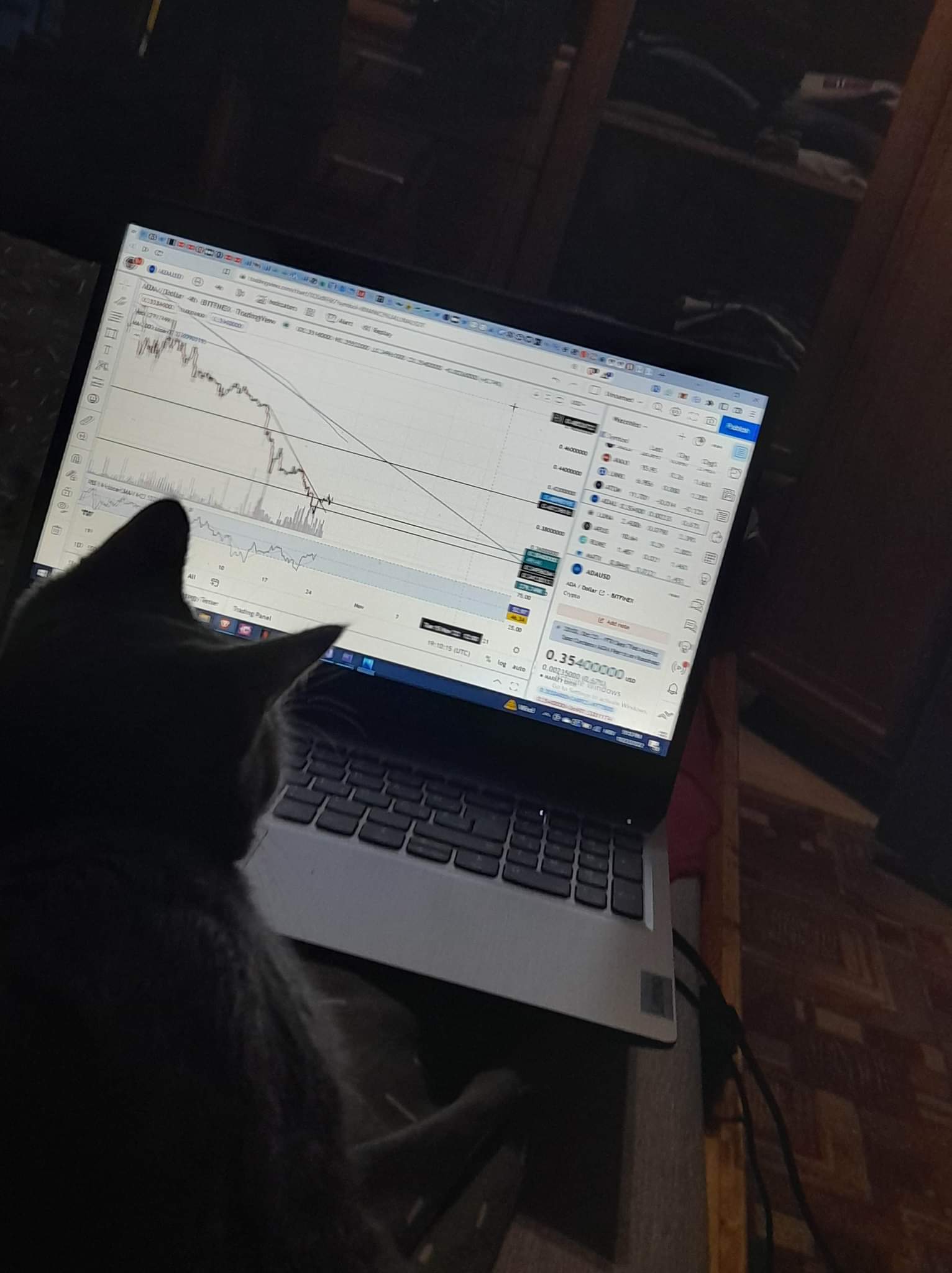 גרף TradingView באינסטגרם @Kameleon