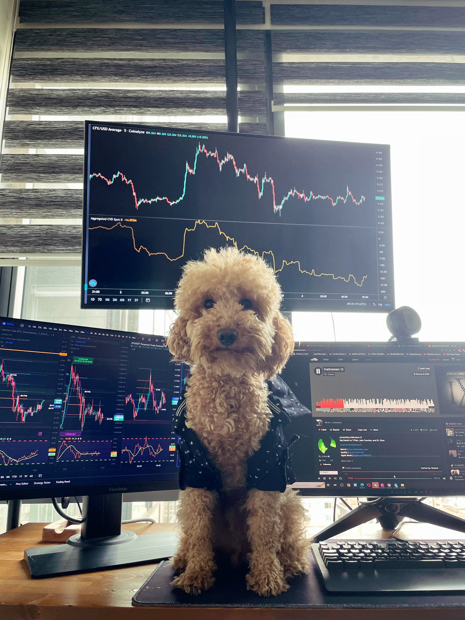 TradingView Chart on Instagram @Fatih Esin