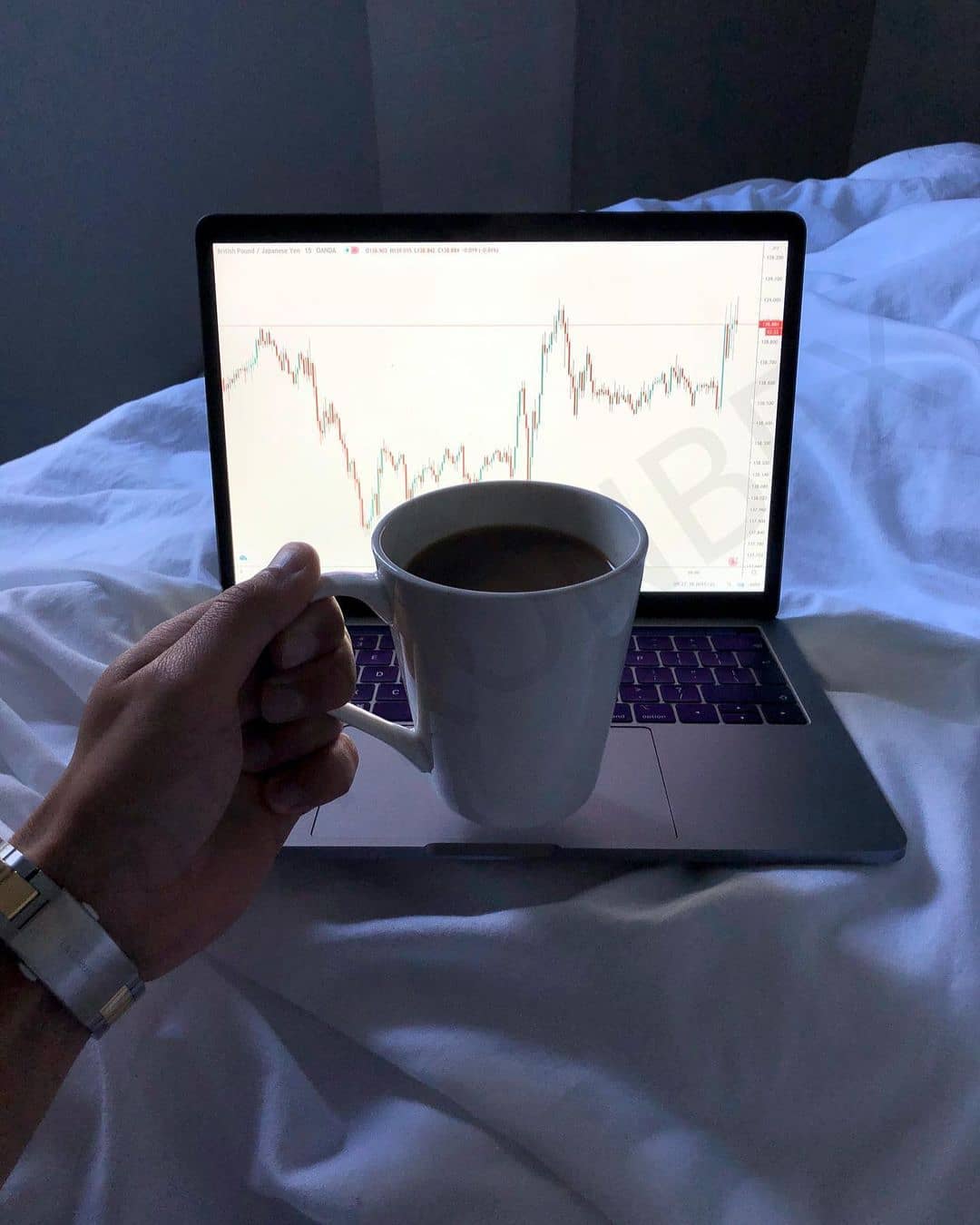 Instagram上的TradingView圖表@scott.trades