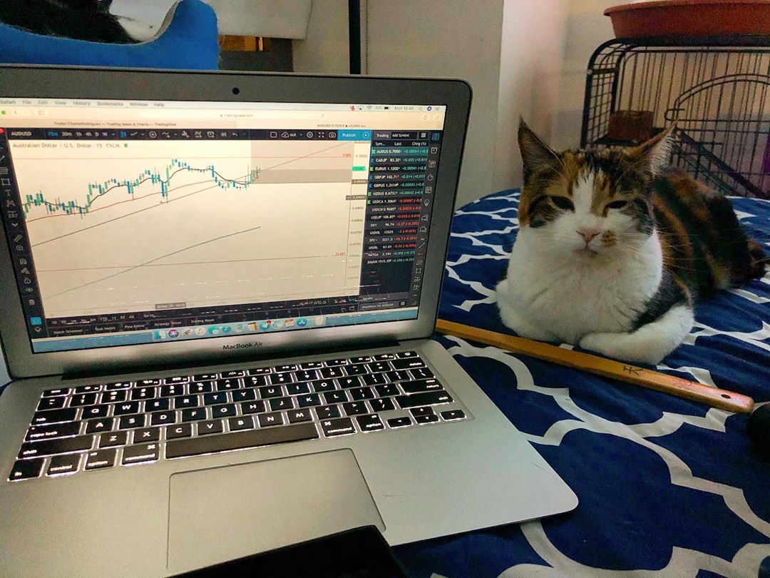 رسم بياني من TradingView على حساب إنستغرام @chatchingpipss