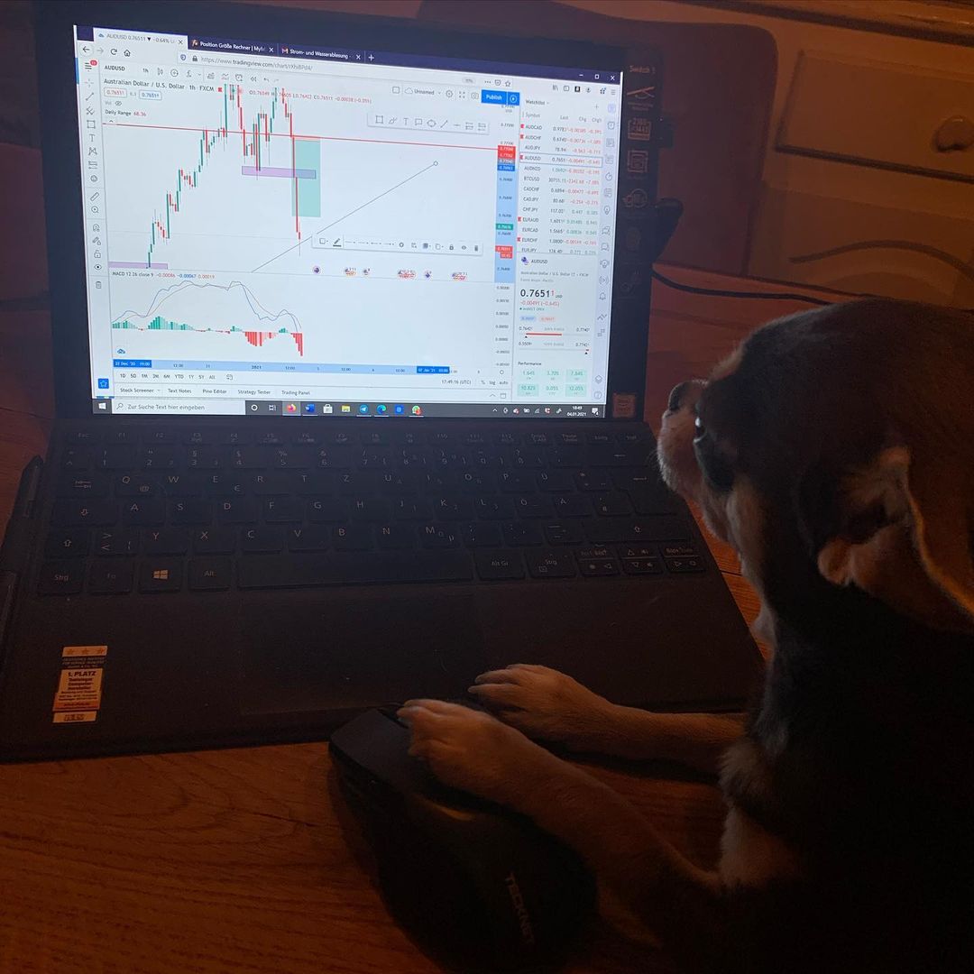 Biểu đồ TradingView trên Instagram @bella_tradesurfer