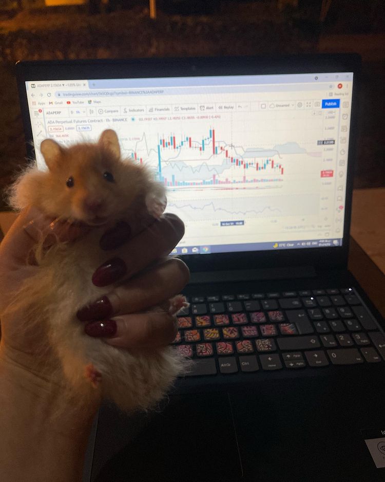 TradingView Chart på Instagram @imelycka