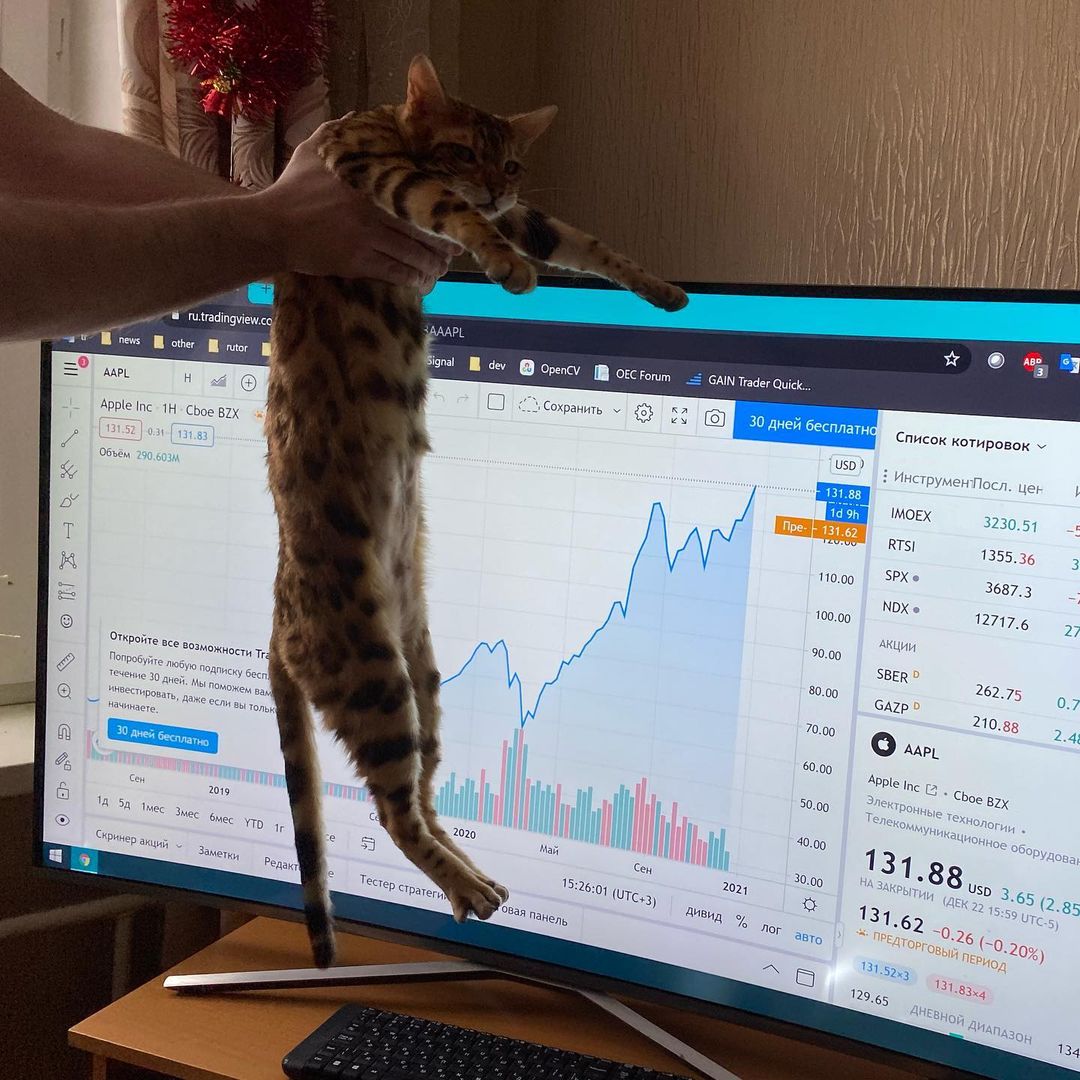 TradingView Chart på Instagram @_catrin_de_vil_