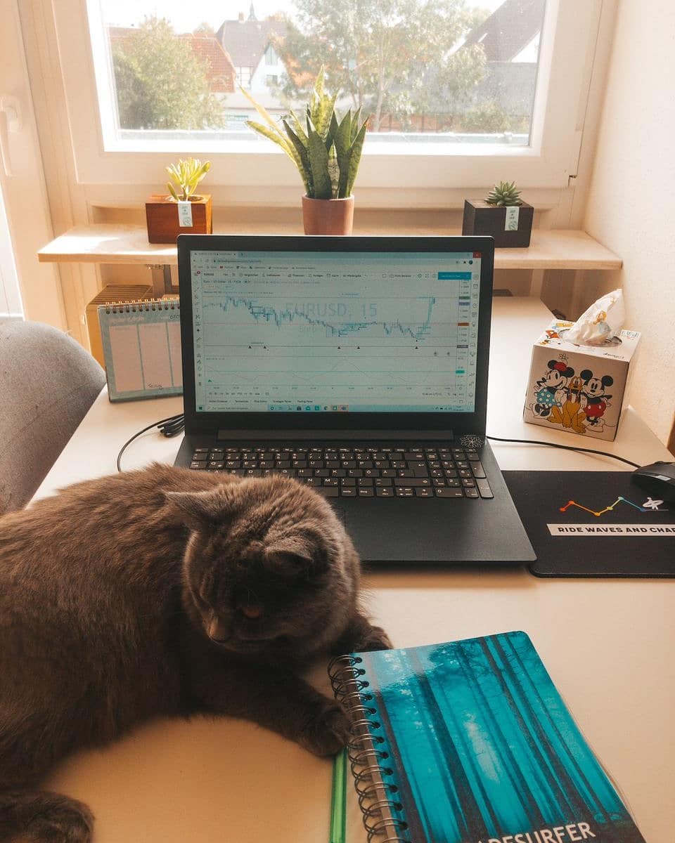 Wykres TradingView na Instagramie @trade_surfer