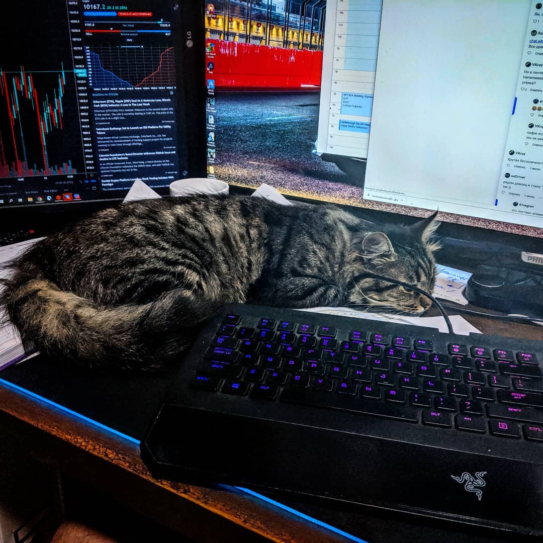 TradingView Chart på Instagram @captainkolbaska