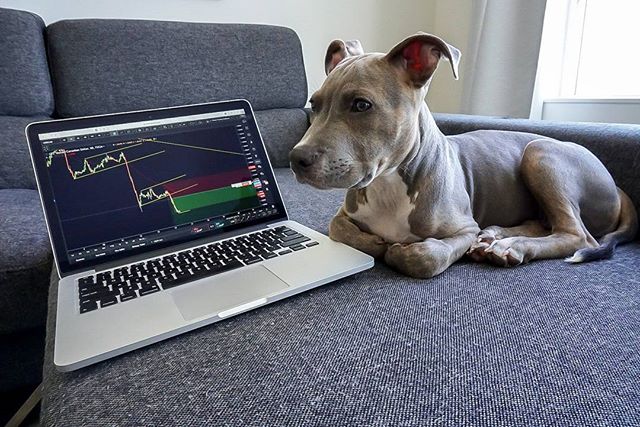 Gráfico de TradingView en @bradfairbridge de Instagram