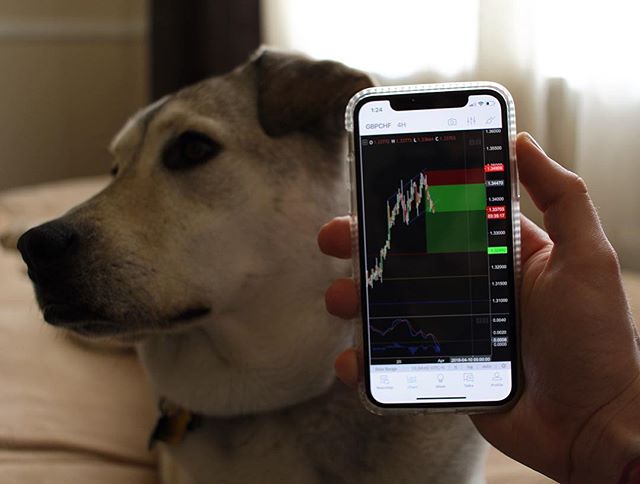 TradingView Chart bei Instagram @joey_vittorelli