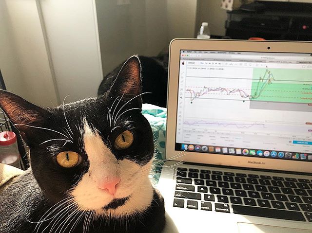 Gráfico de TradingView en @ya_tu_sabes_1983 de Instagram