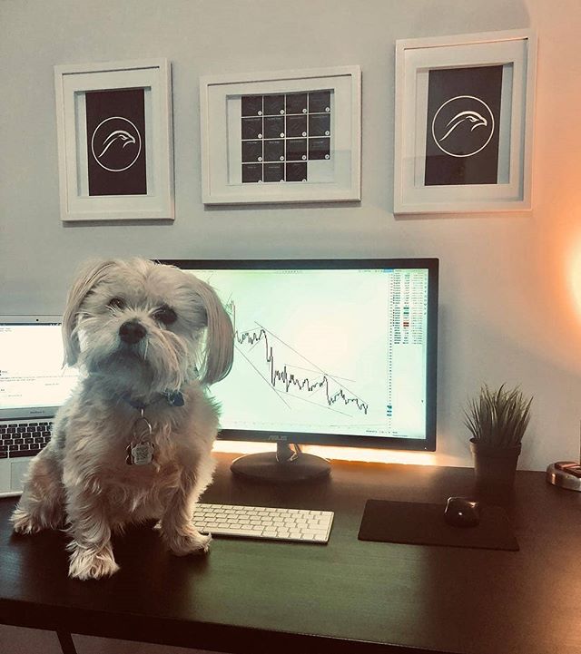 График TradingView в Instagram @mytradingsetup