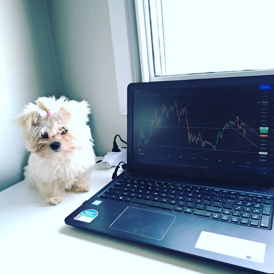 Carta TradingView pada Instagram @ocasalinveste