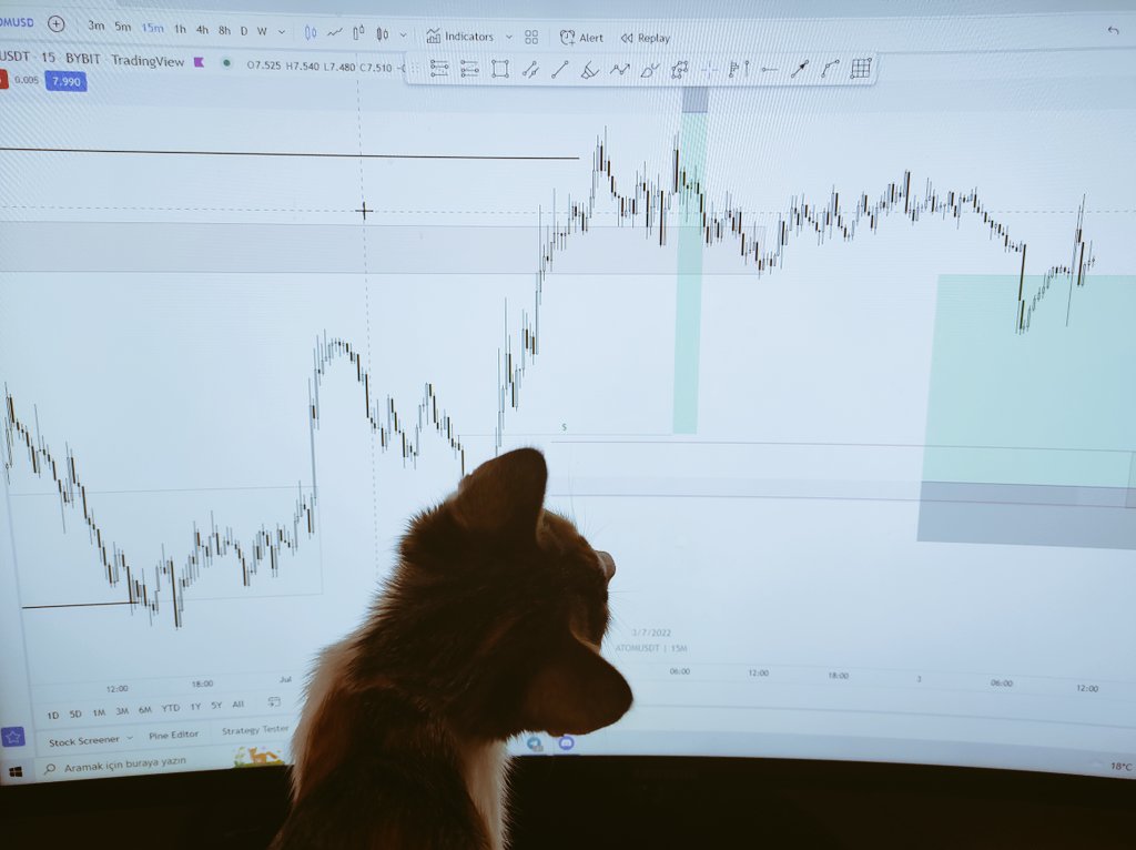 Carta TradingView pada Instagram @notfundamental