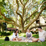 Three students sitting on the grass laughing