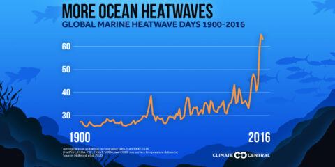 WA state Govt. funding as part of the UN decade on oceans.