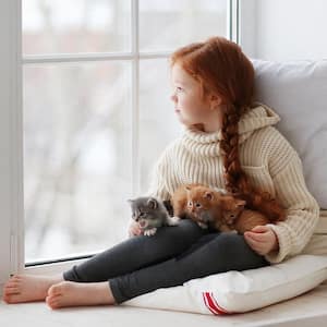 Girl sitting on window with little kittens
