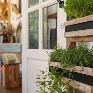 A wooden rack with home plants