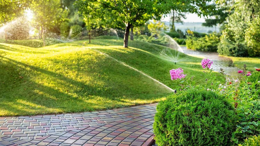 Big yard with automatic sprinkler system