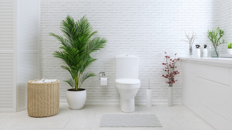 A white toilet bowl in a bright bathroom