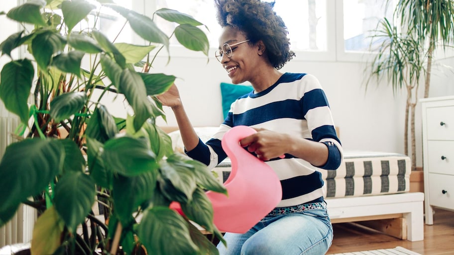 A woman watering her houseplants in the living room