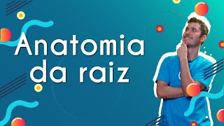 Professor ao lado do escrito "Anatomia da raiz" em fundo azul.