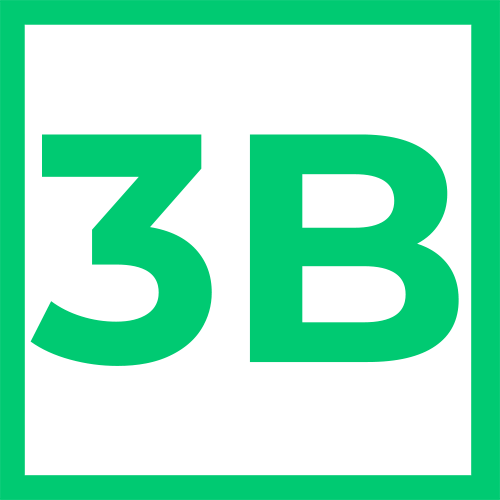 3B logo