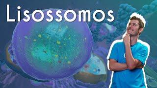 "Lisossomos" escrito sobre ilustração de lisossomos