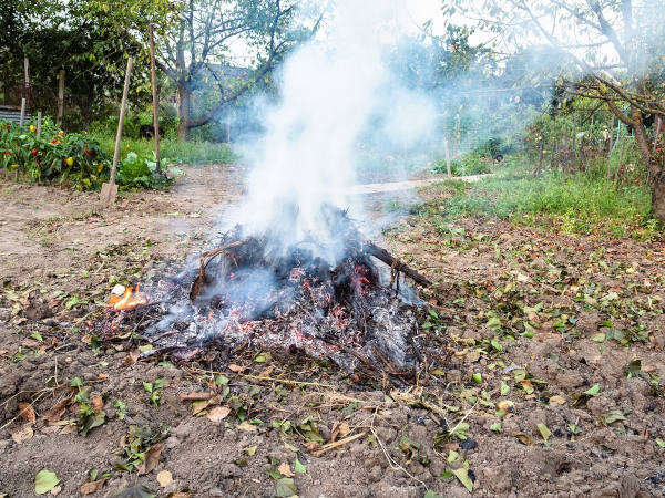 Fumaça saindo de uma fogueira, situação ligada a alguns efeitos da fumaça no organismo.